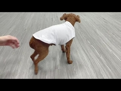 Custom Printing Polyester Dog Shirts Sublimation Pet Clothes Sublimation Blanks T-shirts Dog